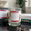 Pina Colada Soy Candles | AfroTouch Design